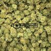 Purple Skunk - Buy Weed Online - Buyweedpacks