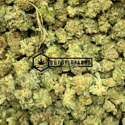 Purple Skunk - Buy Weed Online - Buyweedpacks