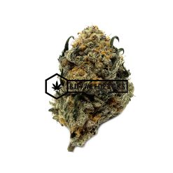 Trump OG - Buy Weed Online - Buyweedpacks