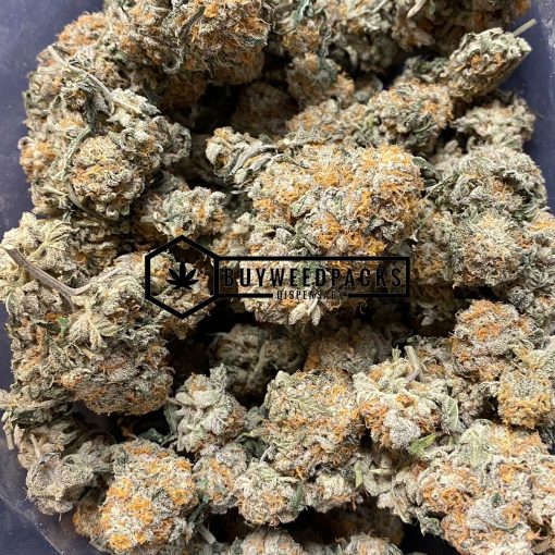 Trump OG - Buy Weed Online - Buyweedpacks