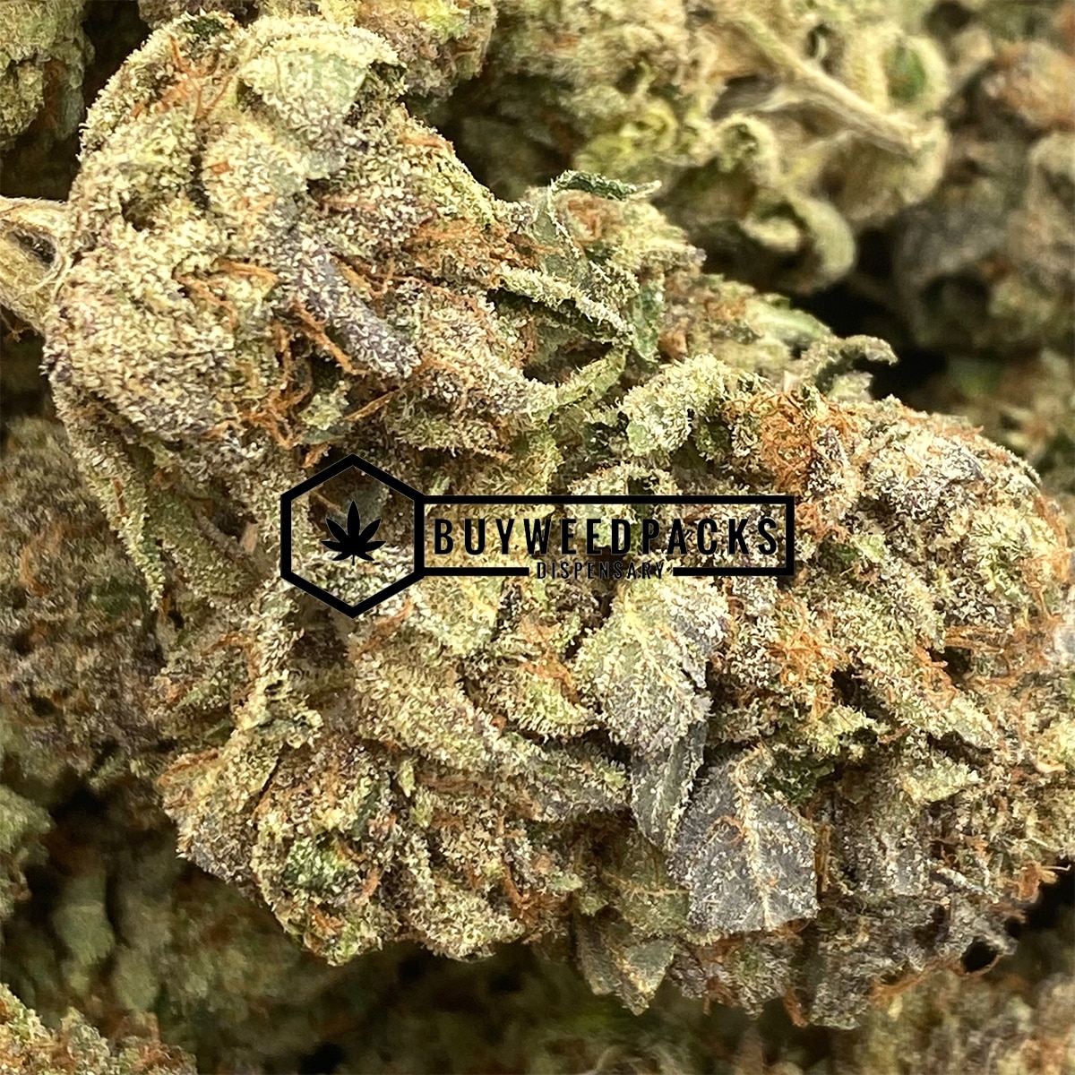 Granddaddy Purple - Online Dispensary Canada - Buyweedpacks