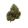 Hawaiian Haze - Online Dispensary Canada - Buyweedpacks