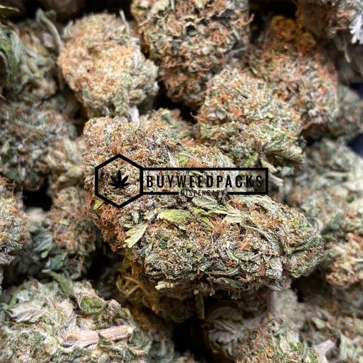 Mango Kush - Online Dispensary Canada - Buyweedpacks