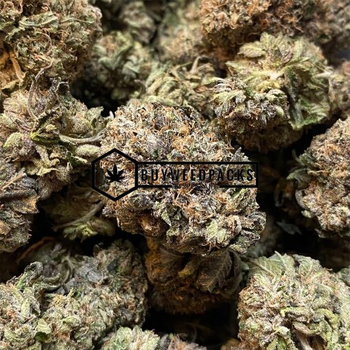 Mike Tyson OG - Buy Weed Online - Buyweedpacks