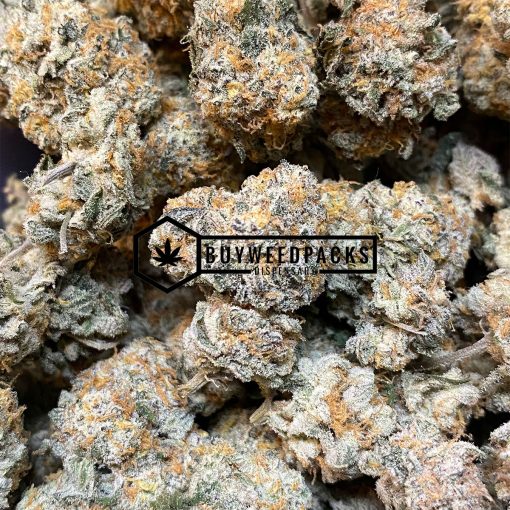 Pablo’s Mint - Buy Weed Online - Buyweedpacks