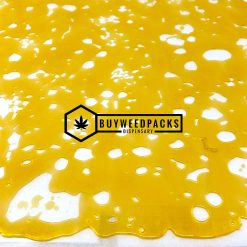 White Rhino Shatter - Buy Shatter Online - Buyweedpacks