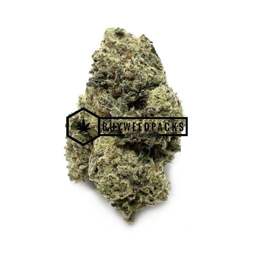 Alien Cookies - Online Dispensary Canada - Buyweedpacks