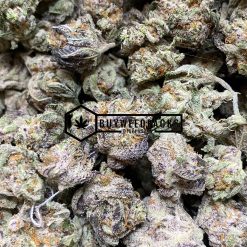 Critical Mass - Online Dispensary Canada - Buyweedpacks