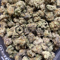 Critical Mass - Online Dispensary Canada - Buyweedpacks