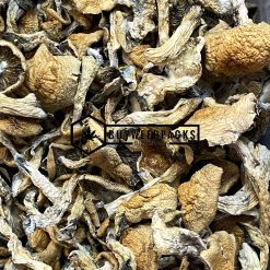 Golden Teachers Magic Mushroom - Online Dispensary Canada - Buyweedpacks