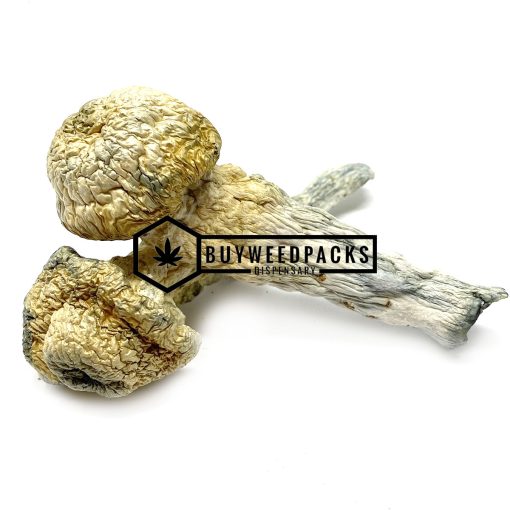 Melmac Magic Mushroom - Online Dispensary Canada - Buyweedpacks