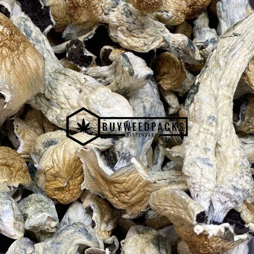 Penis Envy Magic Mushroom - Online Dispensary Canada - Buyweedpacks