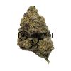 Purple MAC 10 - Online Dispensary Canada - Buyweedpacks