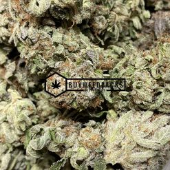 BC Kush | Buy Online Weeds | Buyweedpacks