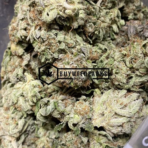 BC Kush | Buy Online Weeds | Buyweedpacks