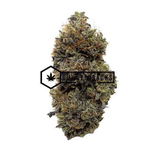 Brownie Scout | Buy Online Weeds | Buyweedpacks