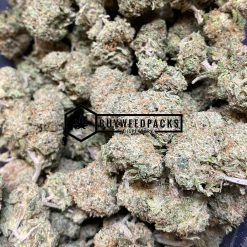 Strawberry Sherbet | Buy Online Weeds | Buyweedpacks