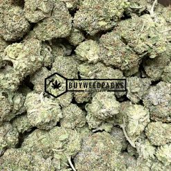 Gorilla Glue #4 - Online Dispensary Canada - Buyweedpacks