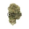 Gorilla Glue #4 - Online Dispensary Canada - Buyweedpacks