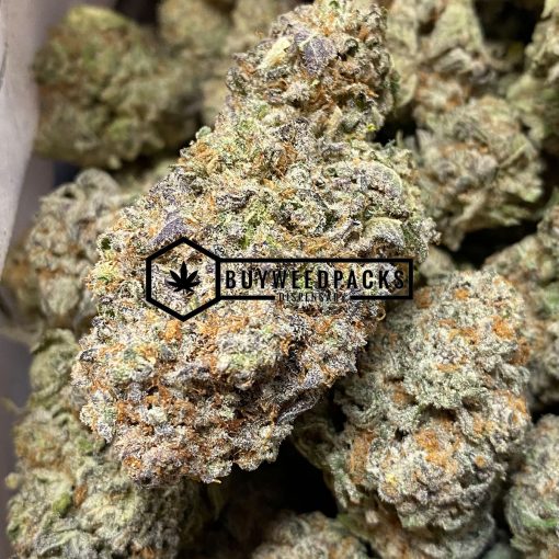 Granny Skunk | Buy Online Weeds | Buyweedpacks