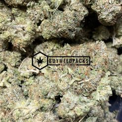 Buy Master Kush | Buy Online Weeds | Buyweedpacks