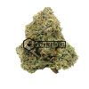 Buy Master Kush | Buy Online Weeds | Buyweedpacks