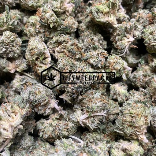 Scarface OG | Buy Online Weeds | Buyweedpacks