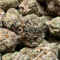 Tom Ford Pink Kush | Buy Online Weeds | Buyweedpacks