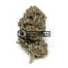 Black Tuna - Online Dispensary Canada - Buyweedpacks