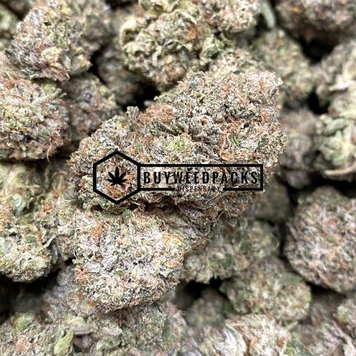 Italian Ice - Online Dispensary Canada - Buyweedpacks