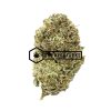 MAC 10 - Online Dispensary Canada - Buyweedpacks