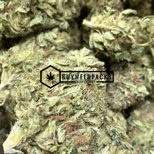 Purple MAC 10 - Online Dispensary Canada - Buyweedpacks