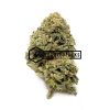 Sweet Berry - Online Dispensary Canada - Buyweedpacks