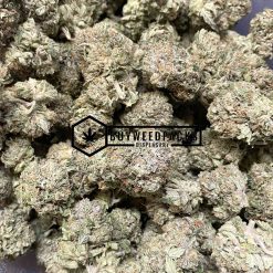 Chasca - Online Dispensary Canada - Buyweedpacks