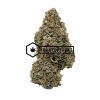 Grape Stomper - Online Dispensary Canada - Buyweedpacks