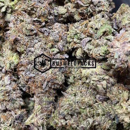 Purple Rockstar Kush - Online Dispensary Canada - Buyweedpacks