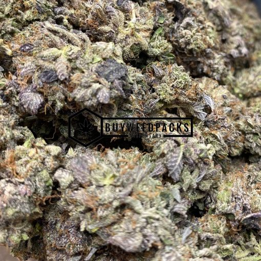 Purple Rockstar Kush - Online Dispensary Canada - Buyweedpacks