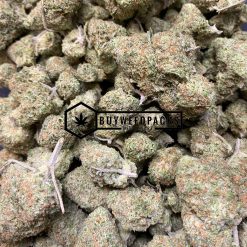 Thin Mint - Online Dispensary Canada - Buyweedpacks