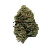 White Truffle - Online Dispensary Canada - Buyweedpacks