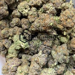 Apple Gelato | Buy Online Weeds | Buyweedpacks