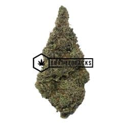 Gary Payton | Buy Online Weeds | Buyweedpacks