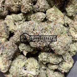 Gary Payton | Buy Online Weeds | Buyweedpacks