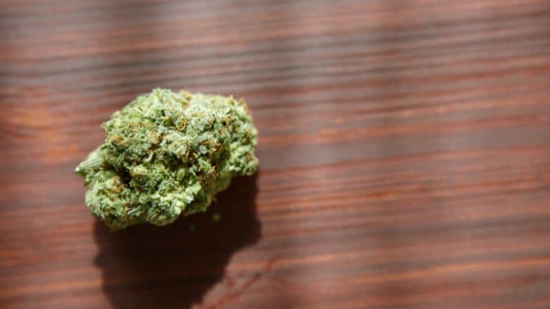 Many stoners often think that other people will know that they have just been smoking. But of all the things that will expose you, weed breath isn’t very high on the list.