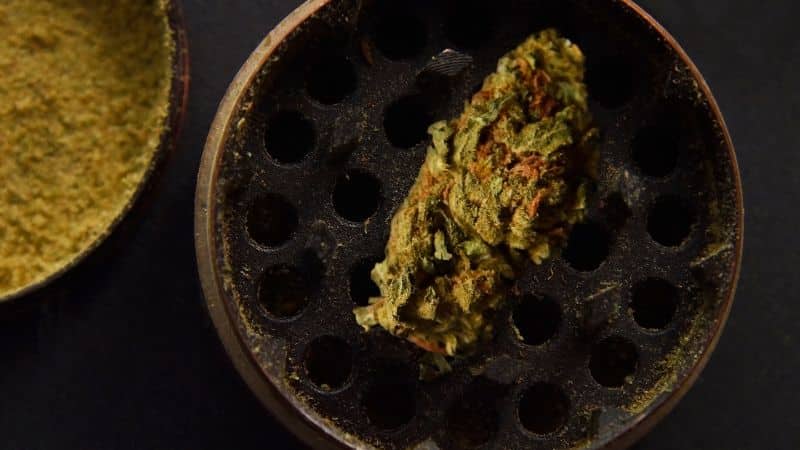 Most consumers who order weed online at our cannabis dispensary use the sativa, indica or hybrid classification to predict the effects a strain will produce before they can buy it.