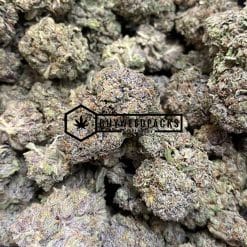 Purple Gas Mask | Buy Online Weeds | Buyweedpacks