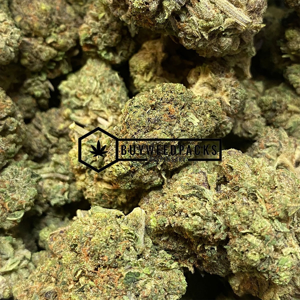 9 Pound Hammer | Buy Online Weeds | Buyweedpacks