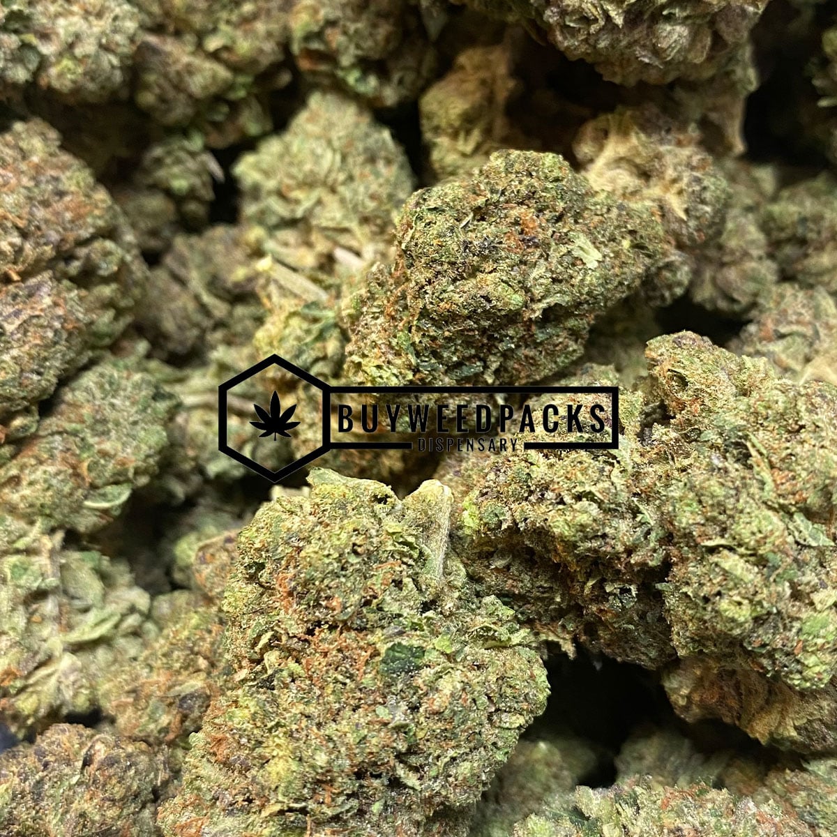 9 Pound Hammer | Buy Online Weeds | Buyweedpacks