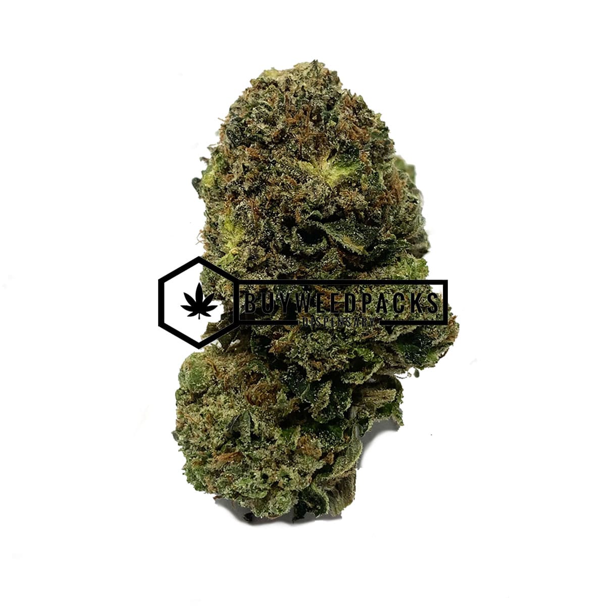 9 Pound Hammer | Buy Online Weeds | Buyweedpacks