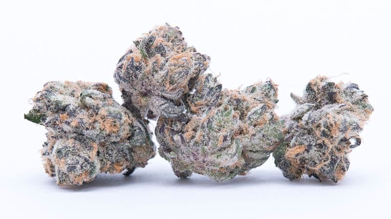 It kicks in with a clean cerebral lift, bright, happy, and almost bubbly. 