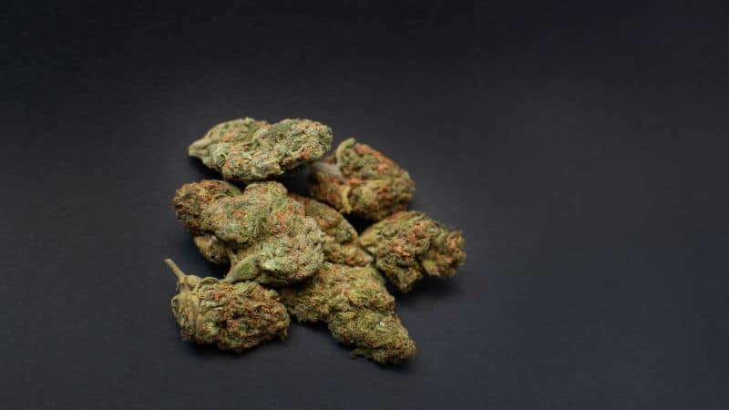 Acapulco Gold weed is a hard-hitting Sativa-dominant strain. It's instantly recognizable for its shimmering, golden-orange buds and earthy, spicy aroma. 